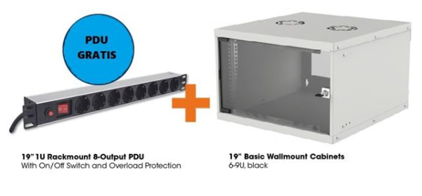 Intellinet 19 Zidni orman, 6U560mm+PDU 8-Output