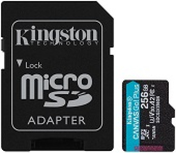 MicroSD 256GB, Canvas Go! Plus, Class10 UHS-I U3 V30 A2, Read up to 170MB/s, Write up to 90MB/s, for 4K and FullHD video ( SDCG3/256GB ) 