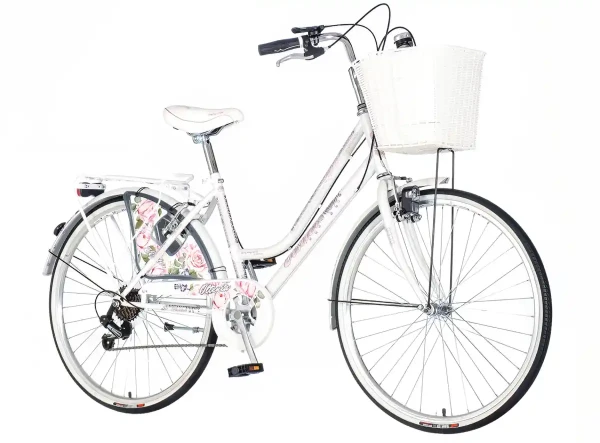 Bicikla Visitor Oltenia Fam2612S6belo sivaram 17Točak 26.3brzine 6kočnice V brake