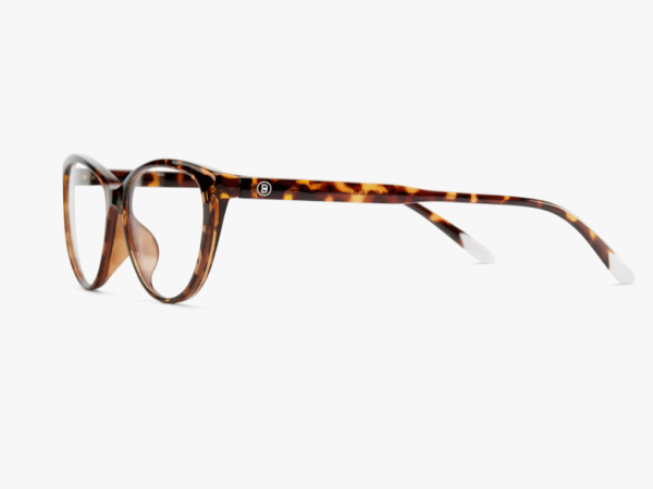 Zaštitne naocare BARNER AstoriaGlossy Tortoise' ( 'AGT' ) 