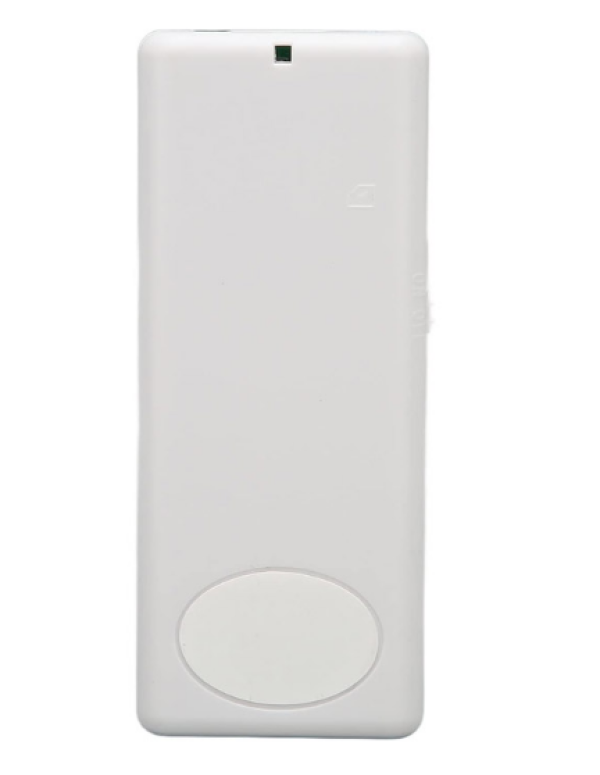 MP3 Player 301 32GB beli