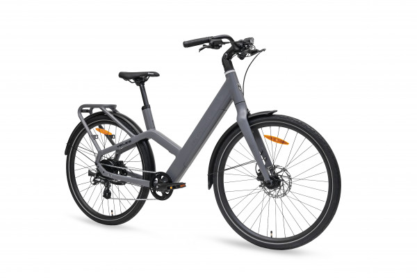 MS ENERGY eBike Veles grey_REG