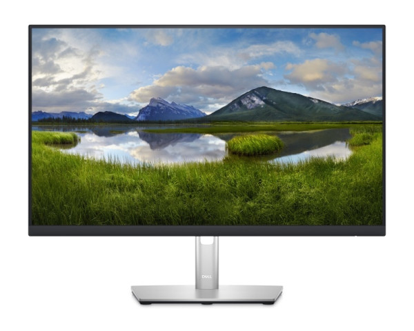 DELL OEM 23.8'' P2422H Professional IPS monitor